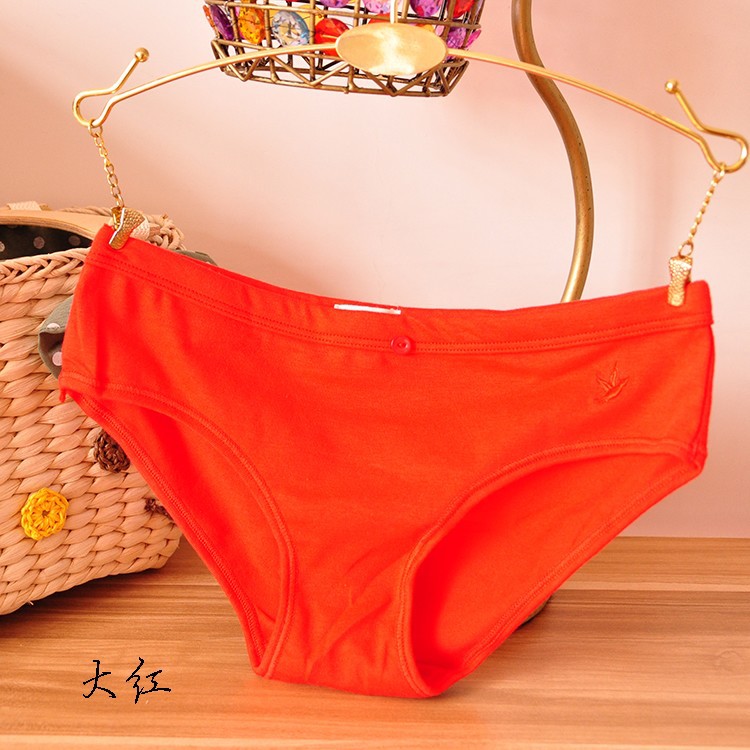 Slip jeune T2 en coton - Ref 647970 Image 28