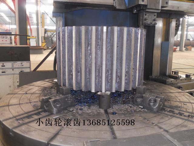 DSCN4564