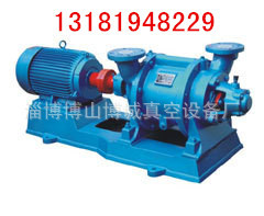 厂家供应批发SZ-1,SZ-2，SZ-3水环式真空泵