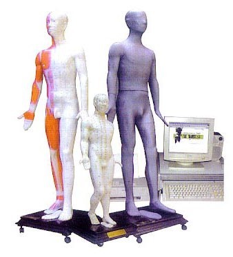 MAW-170E 多媒体人体针灸穴位发光模型