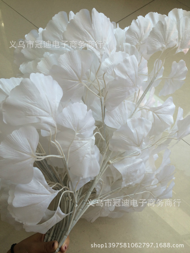 TB2SpHoaXXXXXaTXpXXXXXXXXXX_!!