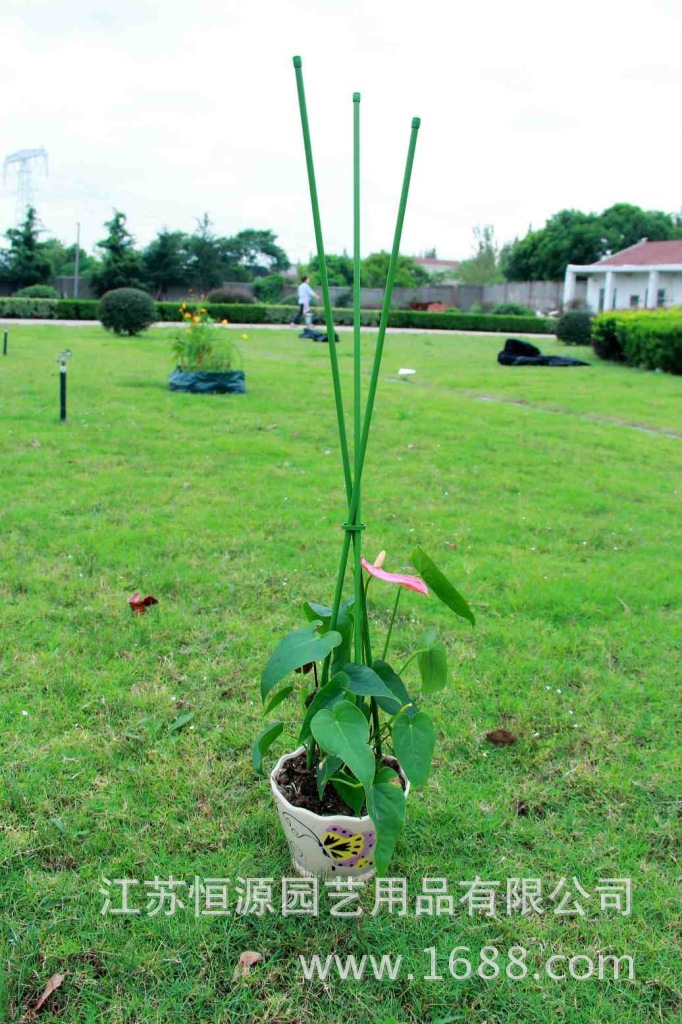 番茄茄子藤蔓爬藤架铁线莲花支柱架三角支柱支架花棚 蔬菜架 阿里巴巴