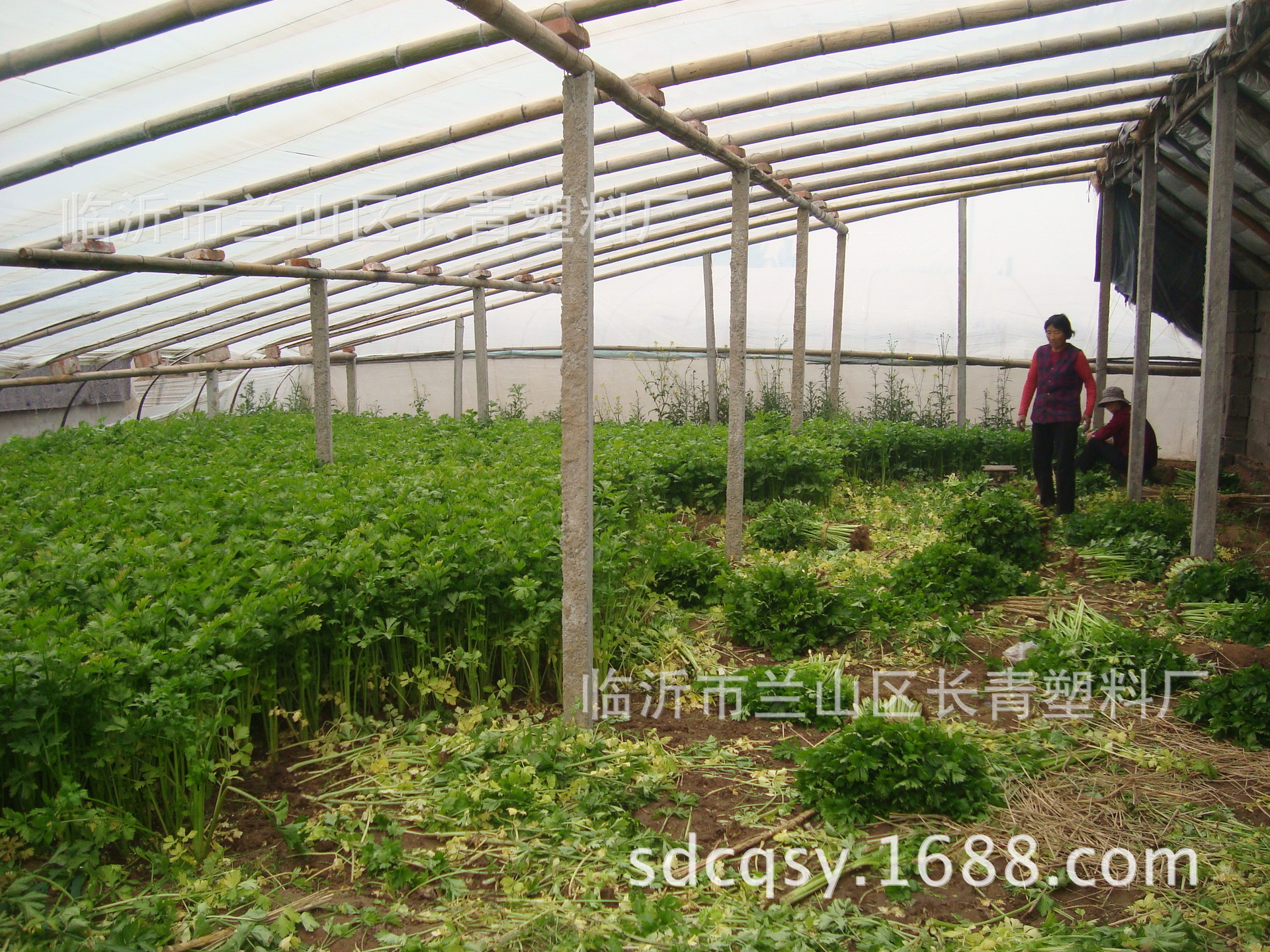 蔬菜大棚无滴膜