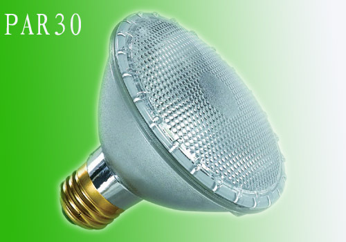 射燈(PAR30)