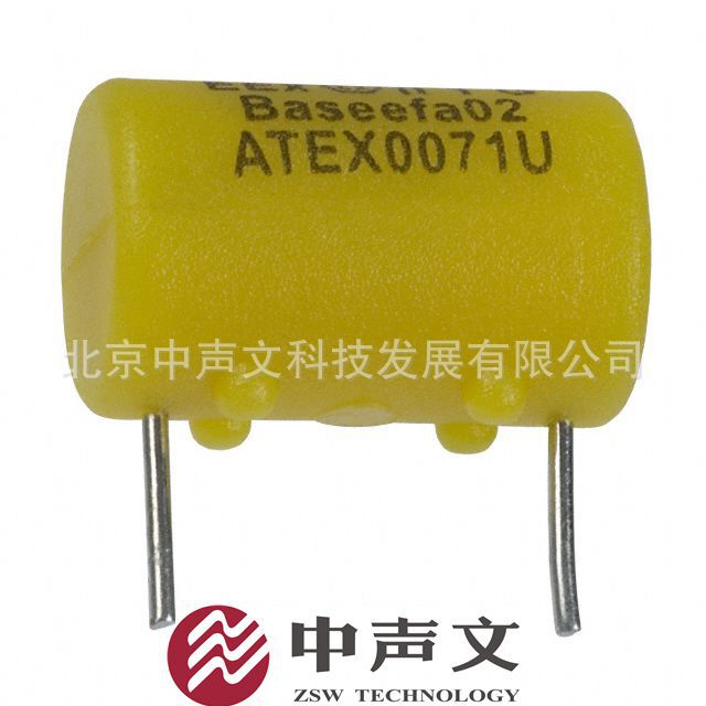 0259001.T，保险丝