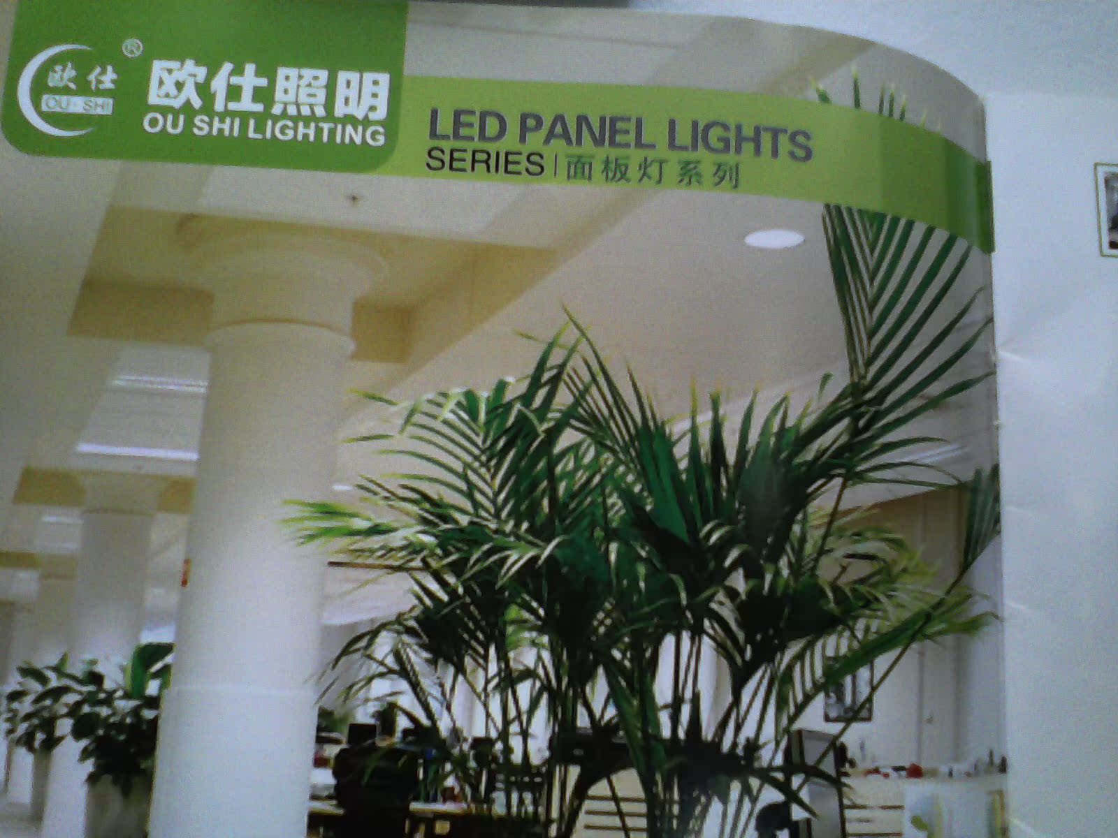 IMG_20140924_115049701