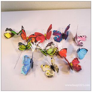 ������� ���F�A���p��ӡ�������̈��b����N�׃��@ ��������