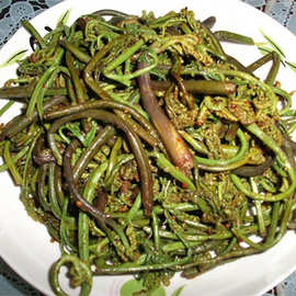 拳头菜 拳头菜批发 促销价格 产地货源 阿里巴巴