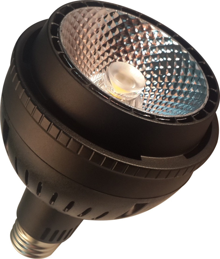 PAR30-私模灯具 (4)