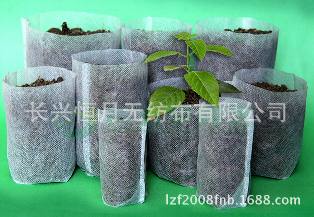 2025新型环保可降解加厚防草保湿耐腐蚀农业育苗用热轧无纺布