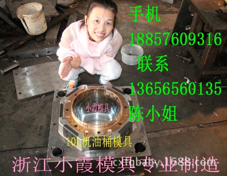 涂料桶模具 (319)