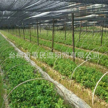 工厂直销 抗老化5年农用大棚遮阴网 蔬菜中药材遮阳网 尺寸可定制