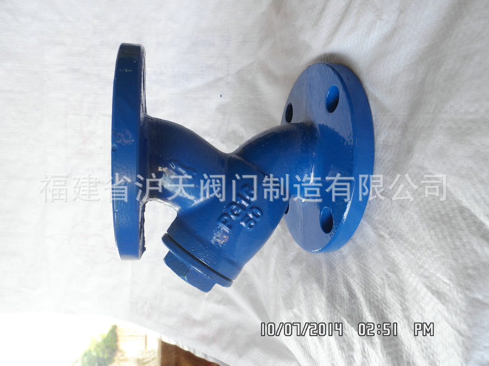 GL41法兰过滤器DN50（DN50-DN800）