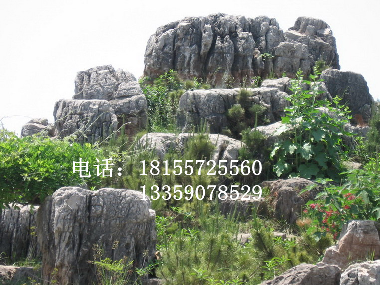 200993201918100_副本