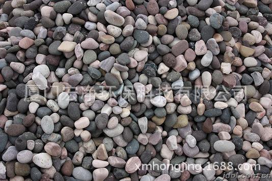 供应鹅卵石/砾石 厦门宏净环保科技有限公司 厂家直供 优价批发