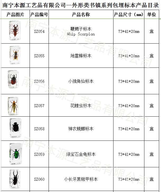 本源公司外形系列包埋標本07