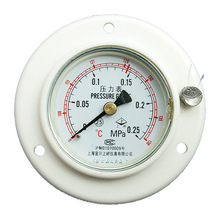 �Ϻ��˴��ώXY-60ZT�S��߅ 138�z�϶� 0.25MPa -0.1~0.3 2.5��