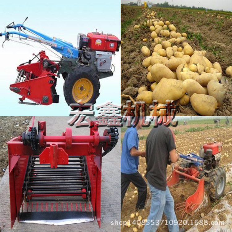 45754478