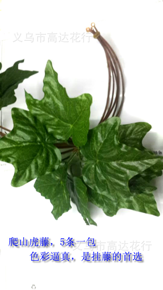 仿真爬山虎藤