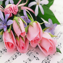 �ջ�ܰ��õ���㾫�m���ϴ��Һ��ˮ�������yƷѬ��aƷ