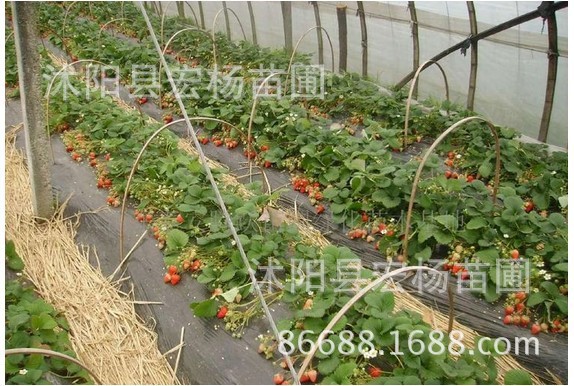 QQ图片20020105114141