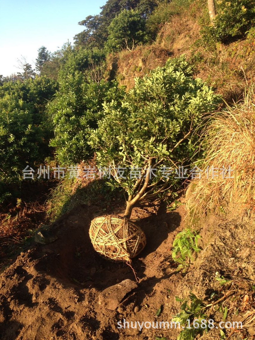 QQ圖片20141106222638