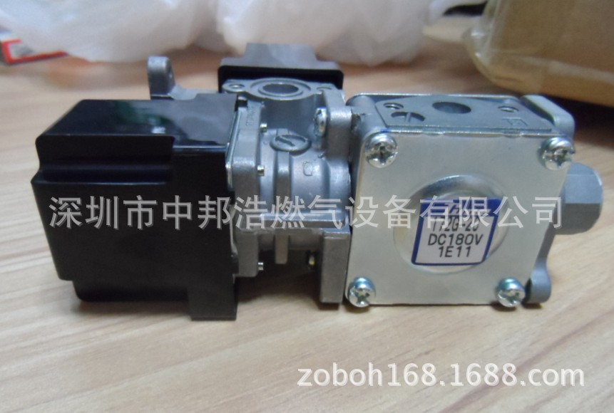 日本TIME燃烧机电磁阀172G20（日本原装进口）