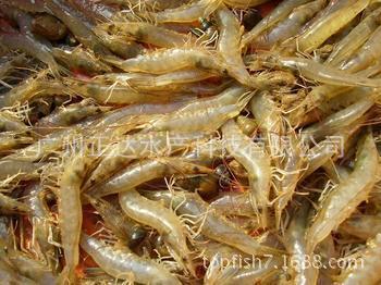 866850015_959864662[2]