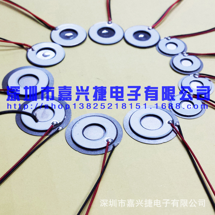 微孔雾化片 补水仪雾化片 风扇雾化片