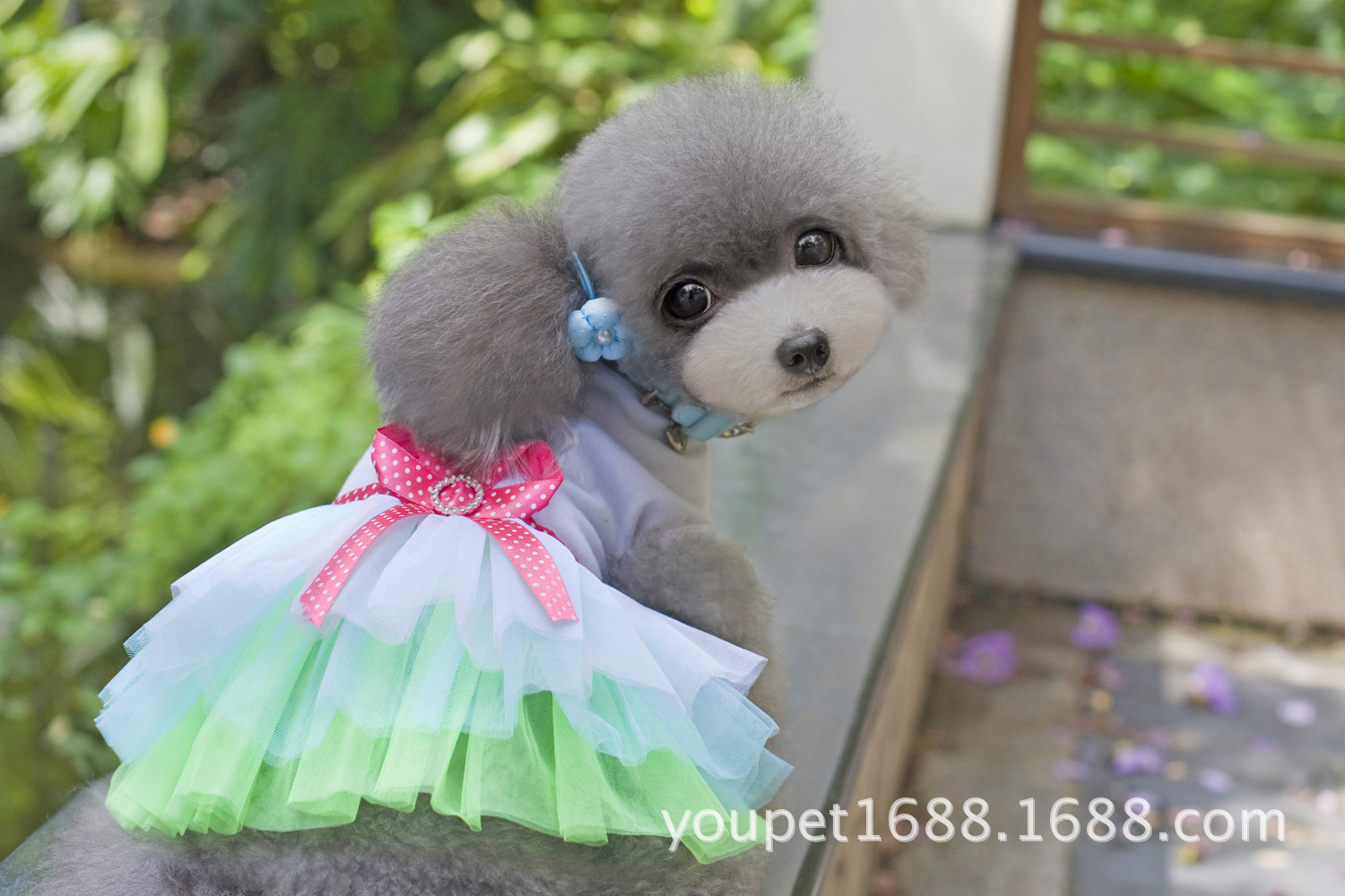 嘴唇纱裙 甜心纱裙