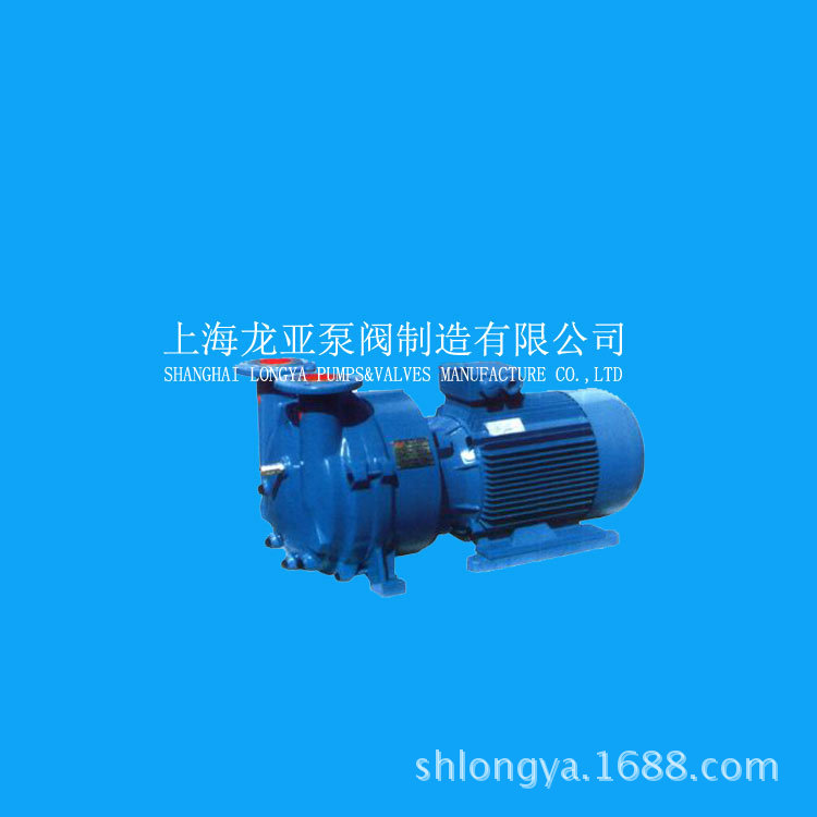 供应龙亚2BV5110直联水环泵 TAI.LONG水环式真空泵