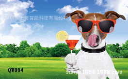 ，立体名片，各种3D制作，光栅材质胶印游戏机卡片pet