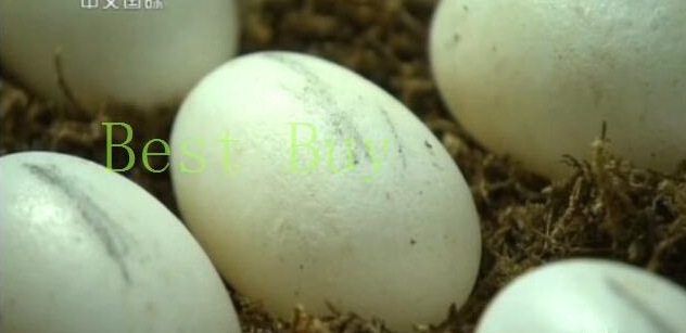 QQ截图20140818100057