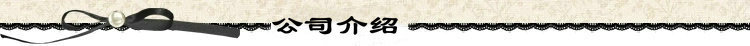 公司介绍