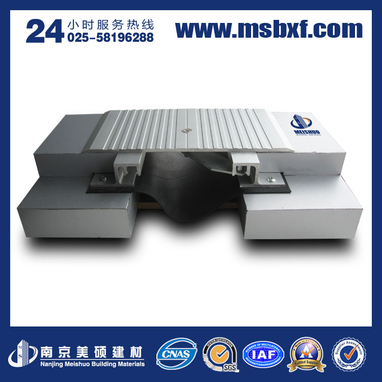 19地面金屬蓋板型MSDG