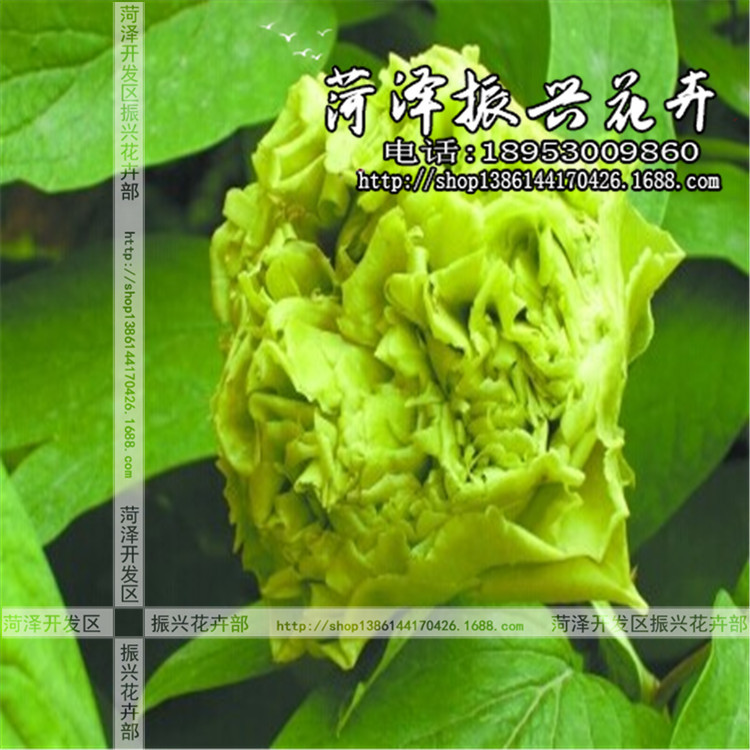 QQ图片20140624094229