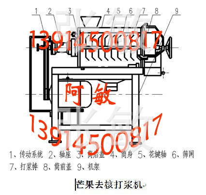 长期现货销售水果打浆机 芒果双道去核打浆机