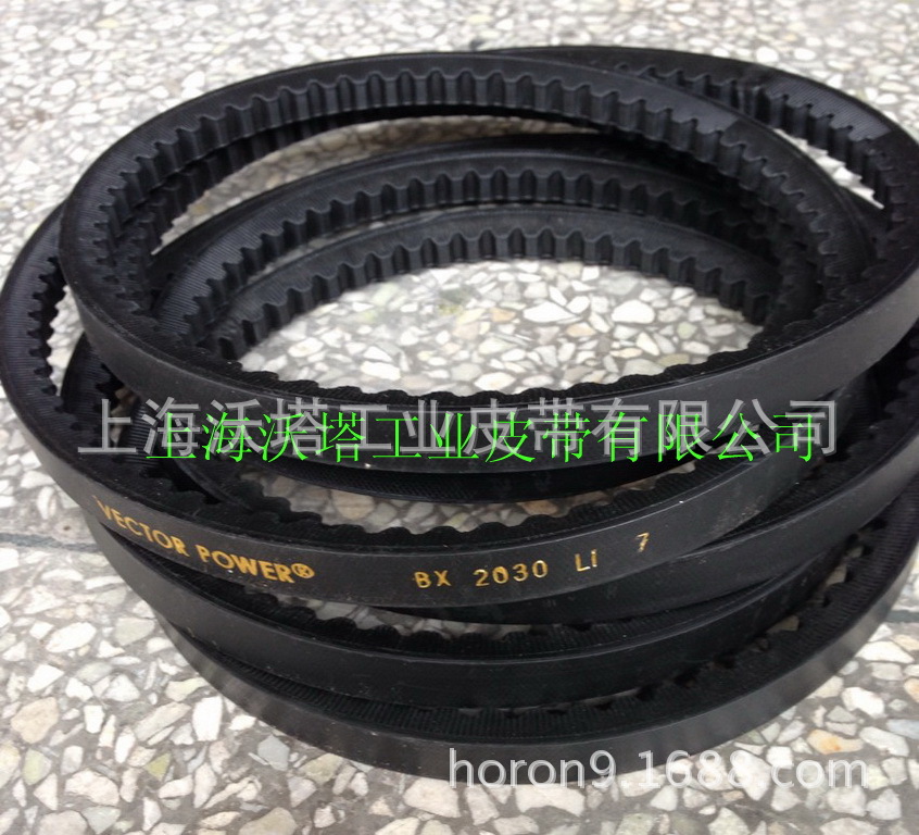 ������ɫ�к��VECTOR�������Ǵ� ���������Ǵ� BX��