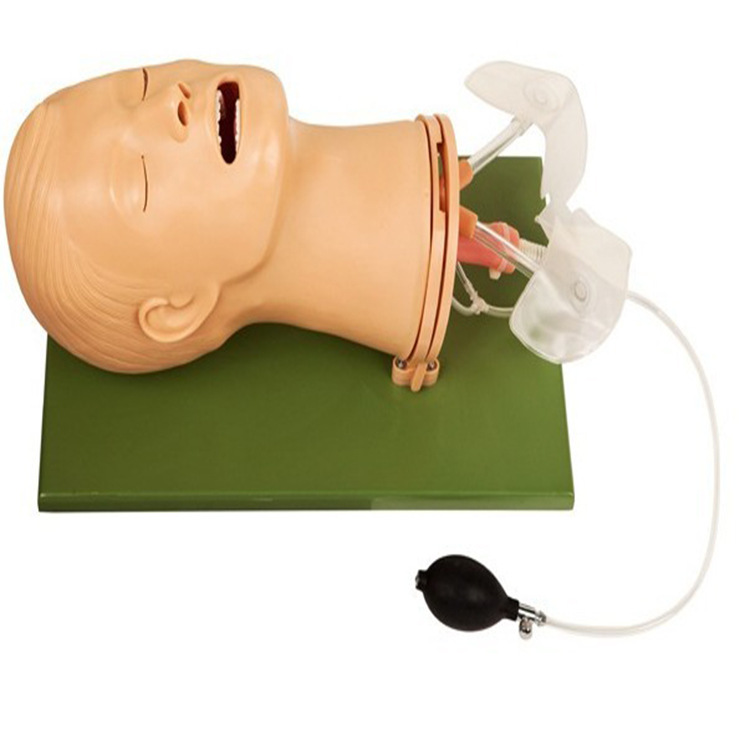 高级多功能气道管理模型