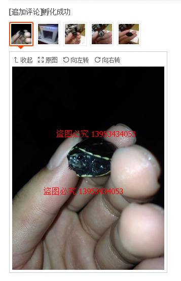 QQ截图20140818100713