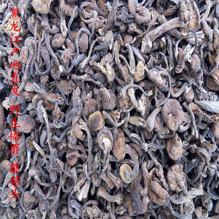 东北特产 榛蘑丁 野生榛蘑 产地批发 蘑菇头 小鸡炖蘑菇东北特色