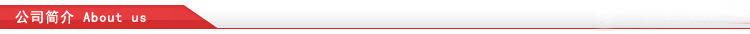公司簡介