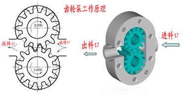 齿轮泵1_