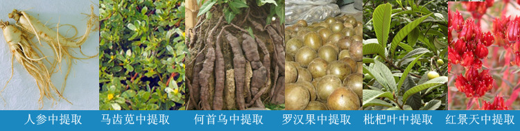 中藥提取濃縮生產線4