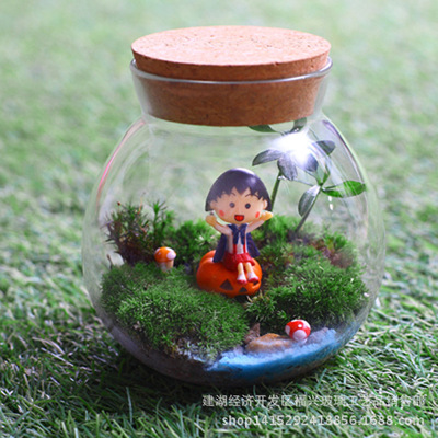 创意玻璃软木塞密封罐 储物罐微景观生态玻璃花瓶苔藓瓶 厂家批发|ru