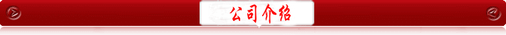 公司介绍