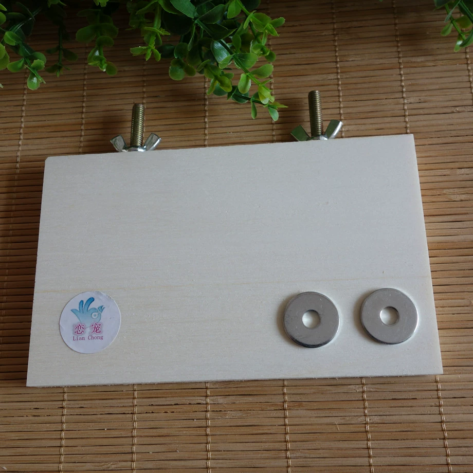 Лонгборд Тоторо и белка 10*15*1,2 см подходит для любой клетки