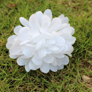 �x��������lDIY�r�վջ����^ �������ٻ������Ĺ�[�� ���滨