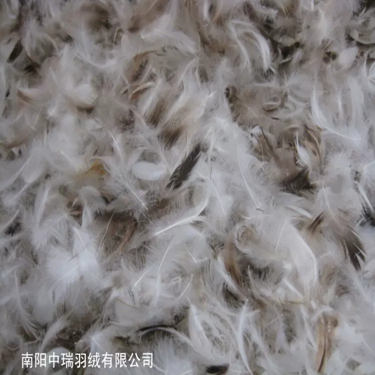 羽绒水洗毛片 4-6cm水洗灰鸭片 床垫 抱枕填充物