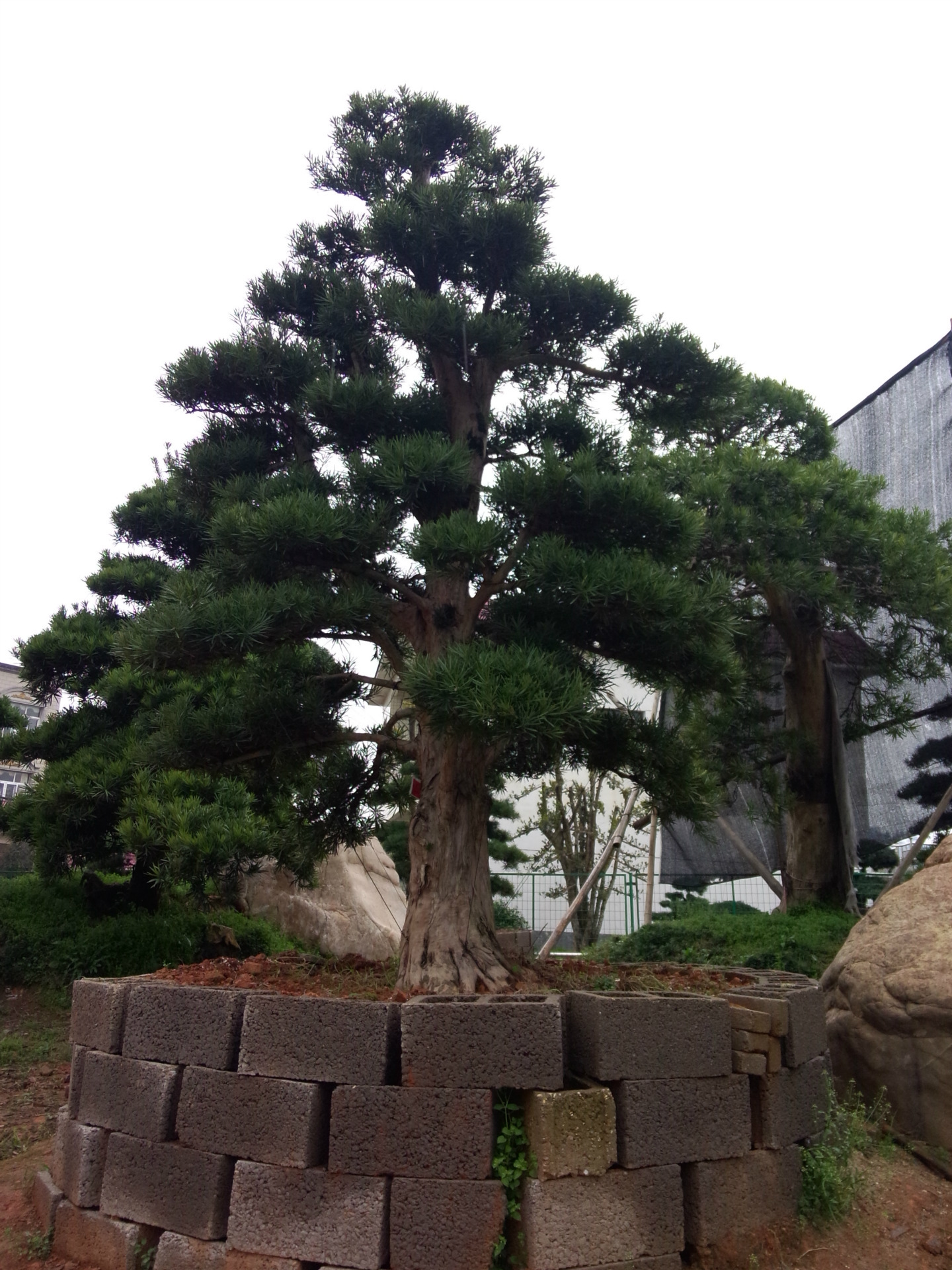 IMG20140320163607(1)